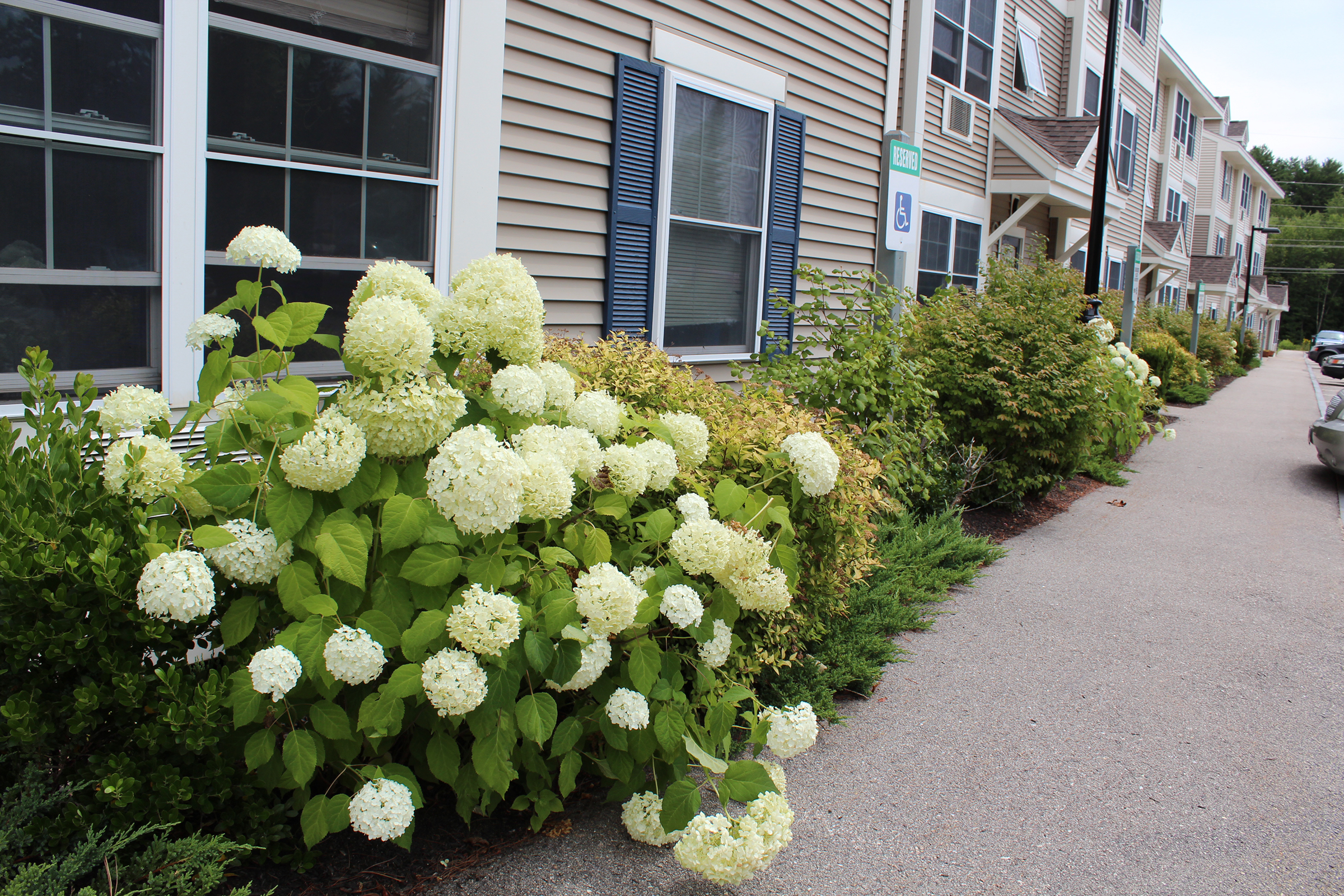Seacoast Workforce Apartments Brookside Place at Ledgeview